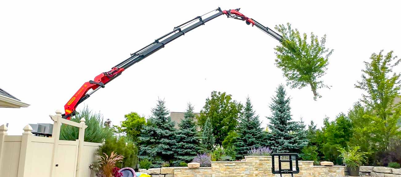Remis Tree Service Specials