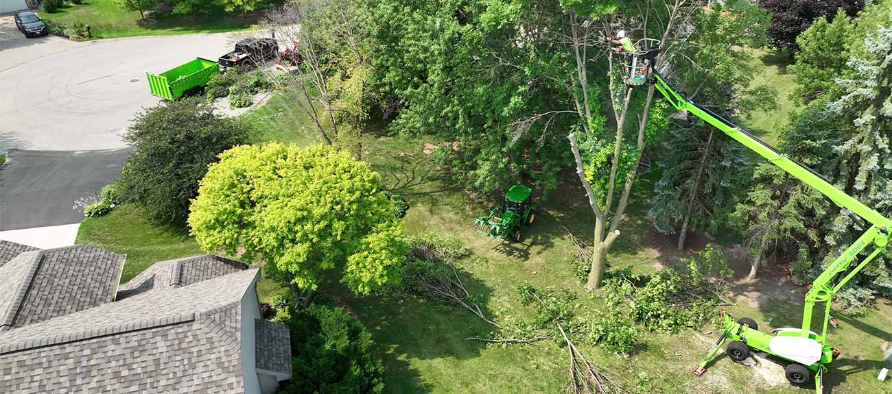 Appleton Wisconsin Tree removal service Remi's Tree Service