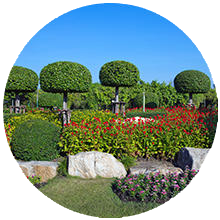 Remi's Tree Service - Appleton, Oshkosh and Green Bay Tree Trimming and removal Service