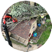 Storm Tree cleanup in Appleton Wisconsin